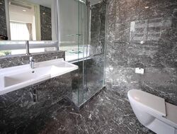 Suites @ Cairnhill (D9), Apartment #508739391